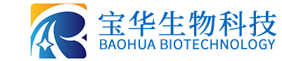 五大联赛官方网站_五大联赛(中国)
